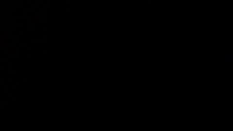 wellingtont online show from 12-21-25, 09:27