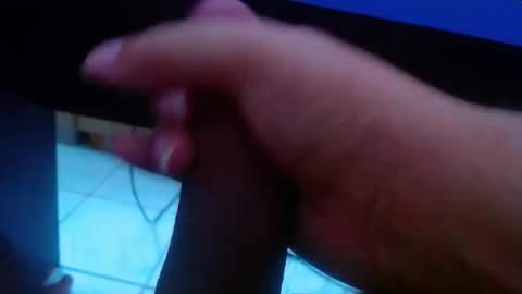 wellingtont online show from 02-11-26, 09:58