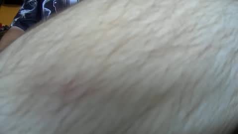 Snapshot of werewolf549 chatting on 10-14-25, 07:53 werewolf549 online show from 10-14-25, 07:53