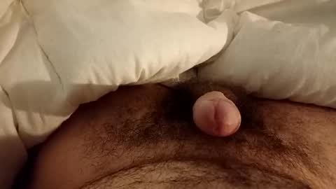 Werty online show from 12-12-24, 11:47