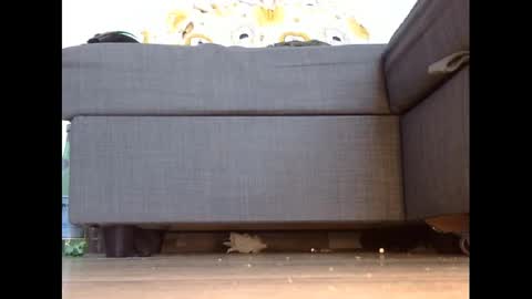 wet_pants2022 online show from 03-03-25, 04:46