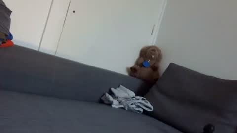 wet_pants2022 online show from 09-22-25, 07:10