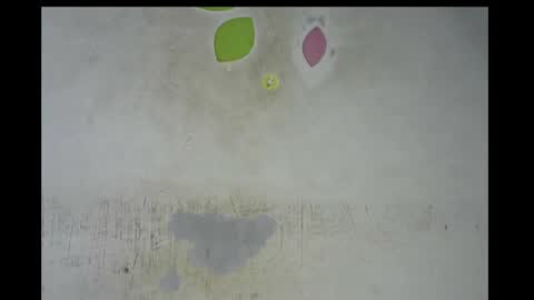 Bella online show from 11-14-25, 12:53