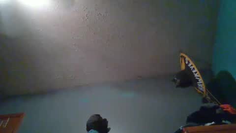 Snapshot of wetduck77777 chatting on 10-05-25, 08:01 wetduck77777 online show from 10-05-25, 08:01