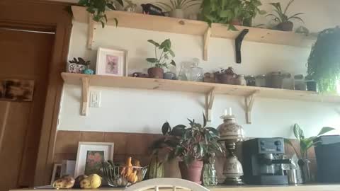 WhiskyLove online show from 11-04-25, 04:50