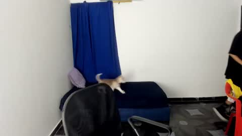Snapshot of white_master444 chatting on 07-14-26, 03:55 white online show from 07-14-26, 03:55