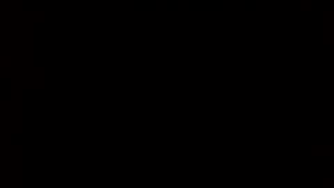 whitehead_lion online show from 02-24-25, 06:05