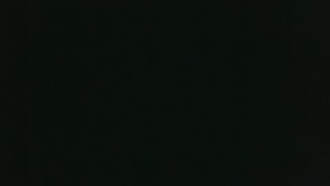 whitehead_lion online show from 12-15-25, 08:24