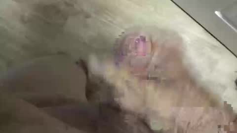 whitelava_4u online show from 05-30-26, 03:53