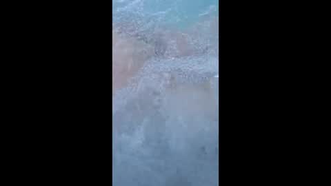 whiteoak19522 online show from 03-29-26, 11:32