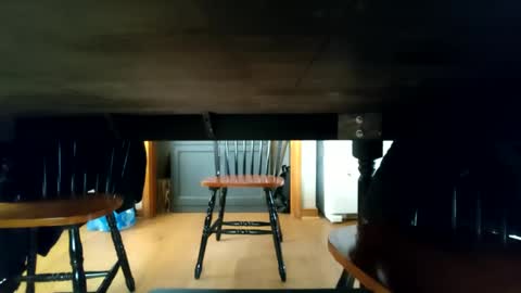 whoneedsaowner online show from 01-09-25, 02:18