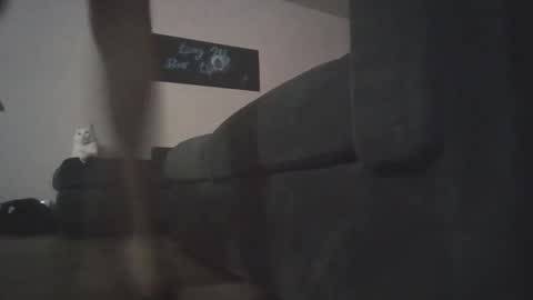 whosten0 online show from 12-01-25, 04:17