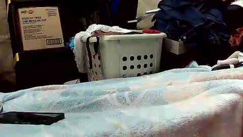 Ryder Harder online show from 10-20-25, 12:16