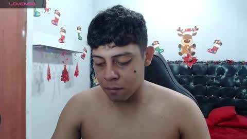 Snapshot of wiilliam_20 chatting on 01-29-25, 12:13 wiilliam online show from 01-29-25, 12:13