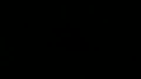 wild lemont online show from 02-25-26, 11:58