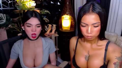 wildara online show from 11-25-25, 11:27