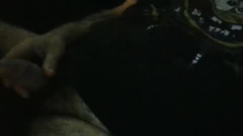 WildeAlex online show from 09-28-25, 11:21