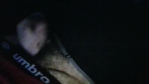 WildeAlex online show from 10-17-25, 11:46