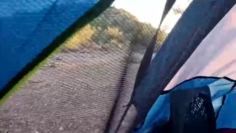 Snapshot of wildernessgoddess chatting on 11-14-25, 11:46 wildernessgoddess online show from 11-14-25, 11:46