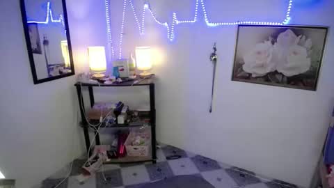 Snapshot of wildflowermitch chatting on 11-27-25, 06:54 Mitch online show from 11-27-25, 06:54