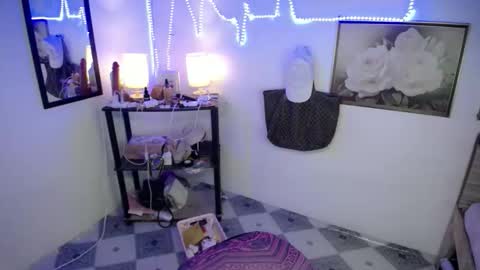 Snapshot of wildflowermitch chatting on 12-14-25, 07:07 Mitch online show from 12-14-25, 07:07