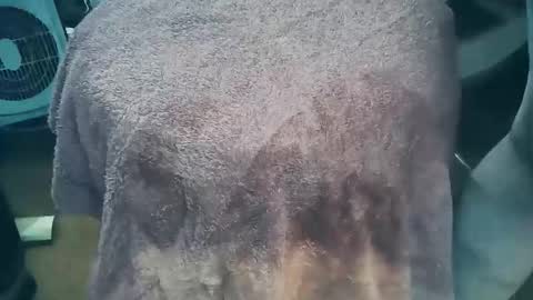 wildman6 online show from 03-26-26, 07:19