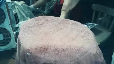 wildman6 online show from 03-27-26, 07:46