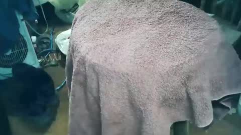 wildman6 online show from 03-28-26, 09:58