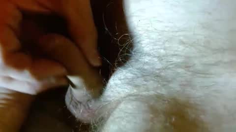 wildwills online show from 04-27-26, 11:47