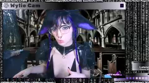 Snapshot of wildwylie chatting on 01-31-25, 03:20 Wylie Wanderlust online show from 01-31-25, 03:20