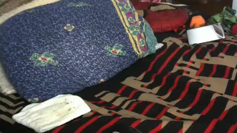 Willamyth online show from 02-09-25, 09:58