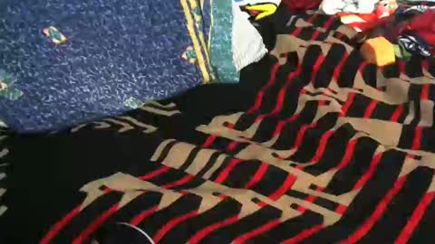 Willamyth online show from 02-19-25, 08:12