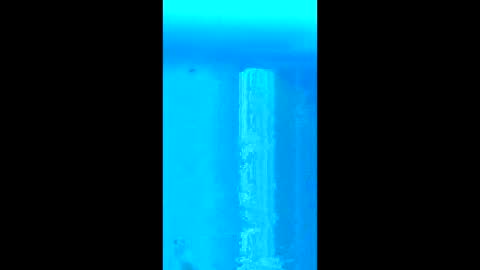 Snapshot of willielowrider chatting on 02-18-26, 03:08 willielowrider online show from 02-18-26, 03:08