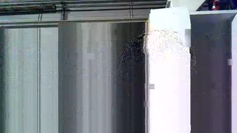 Snapshot of willielowrider chatting on 03-10-26, 08:41 willielowrider online show from 03-10-26, 08:41