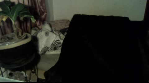 Call me Babe online show from 12-18-24, 03:11