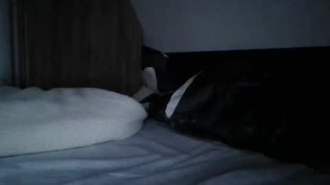 Snapshot of willobey chatting on 02-11-25, 09:56 papa bear online show from 02-11-25, 09:56