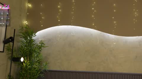 Ms Willow online show from 01-14-26, 11:49