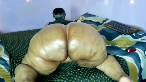 wilmaassylum online show from 11-21-25, 07:18