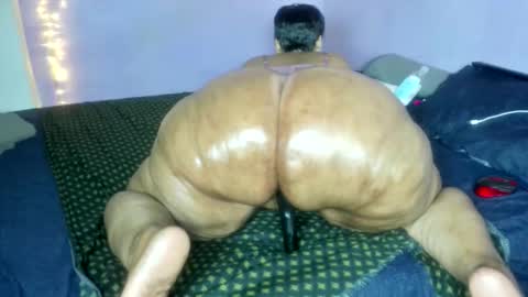 wilmaassylum online show from 12-18-25, 06:19