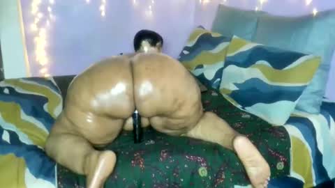 wilmaassylum online show from 01-17-26, 05:34