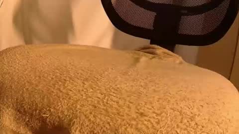 Snapshot of withbothhandsplease chatting on 11-14-25, 05:44 Mater online show from 11-14-25, 05:44