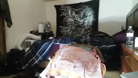 wolfman79 online show from 02-12-25, 11:07