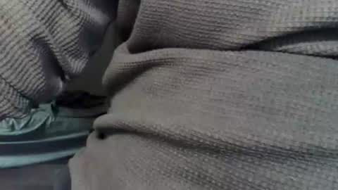 Snapshot of wolfreapsurass chatting on 02-24-26, 03:15 wolfreapsurass online show from 02-24-26, 03:15