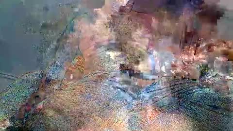 Snapshot of wolfrot chatting on 02-02-26, 03:49 wolf boy online show from 02-02-26, 03:49