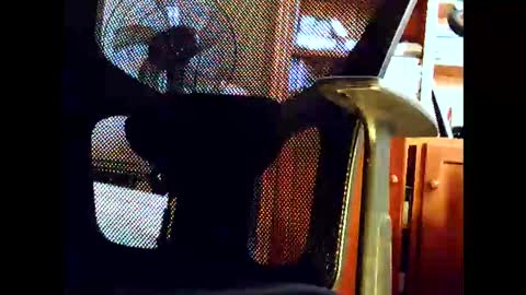 Snapshot of woodyforyou2 chatting on 01-19-26, 12:47 woodyforyou2 online show from 01-19-26, 12:47