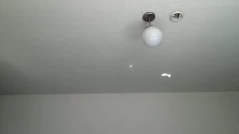 woof_wolf37 online show from 01-09-26, 09:16