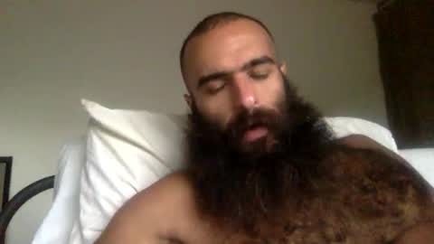 woof_wolf37 online show from 03-31-26, 03:56