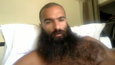 woof_wolf37 online show from 05-21-26, 04:36