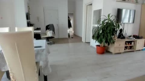 Snapshot of woolfiie chatting on 11-25-25, 08:47 Wolfie online show from 11-25-25, 08:47