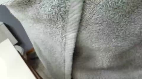 Snapshot of workingman6969 chatting on 02-26-25, 09:37 workingman6969 online show from 02-26-25, 09:37